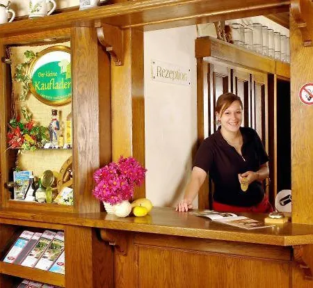 Hotel Lippischer Hof 3*
