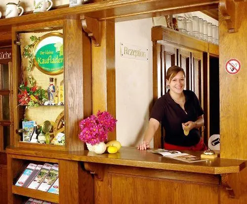 酒店 里皮施霍夫兰德酒店 3*