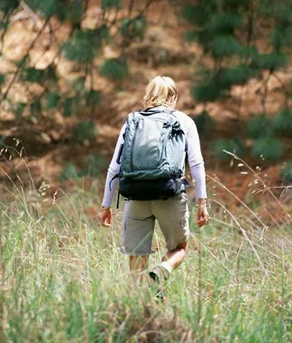 Otel Lippischer Hof 3*