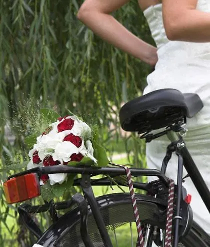 里皮施霍夫兰德酒店 3*